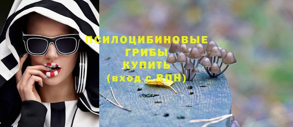 spice Горняк