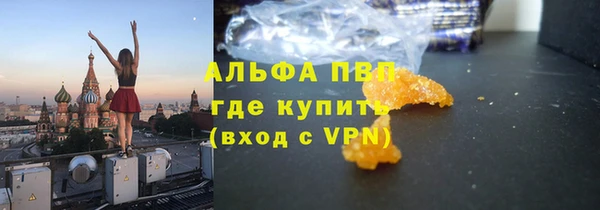 spice Горняк