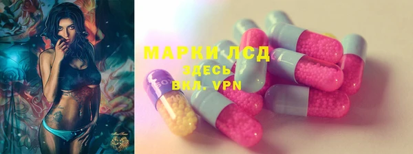 spice Горняк