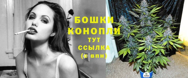 амф Горнозаводск