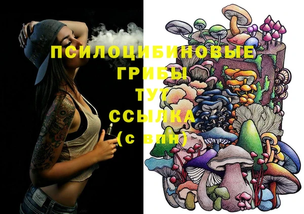 амф Горнозаводск