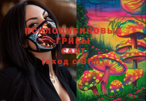 амф Горнозаводск