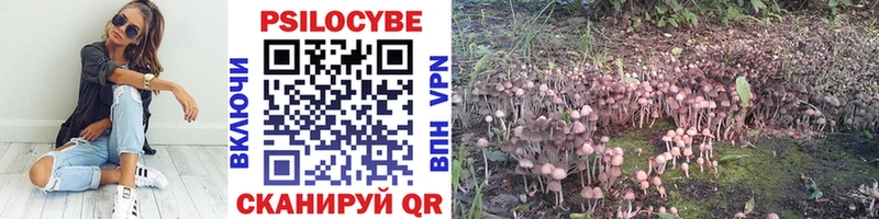 Псилоцибиновые грибы Magic Shrooms  Купить  Тихвин 